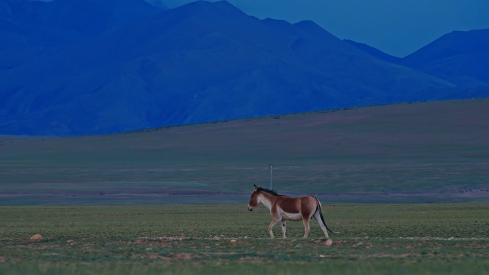 screen capture of the inner critic background video