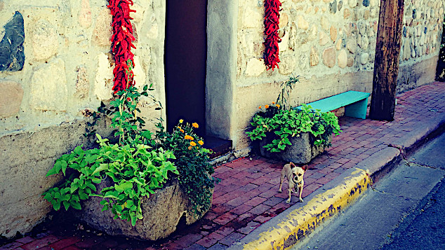 Thumbnail of Doug Pinto's photo