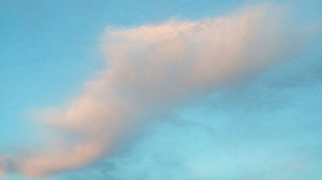 Thumbnail of Doug Pinto's photo