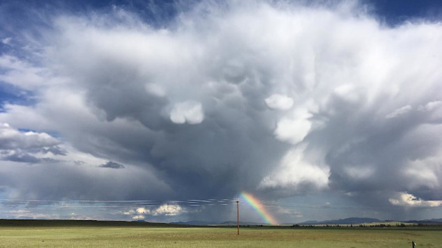 Thumbnail of Jason Papenfuss' photo