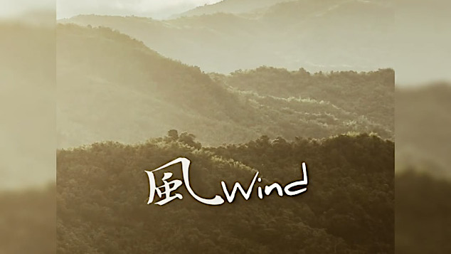 Still capture from Shania's video